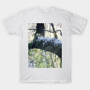 Forest Sun Rays in the Snow #39 T-Shirt